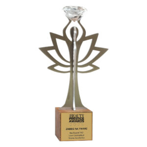 Nagroda w konkursie art of BEAUTY Prestige Awards 2025